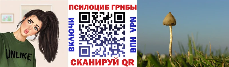 Галлюциногенные грибы GOLDEN TEACHER  Купить  Старый Оскол 